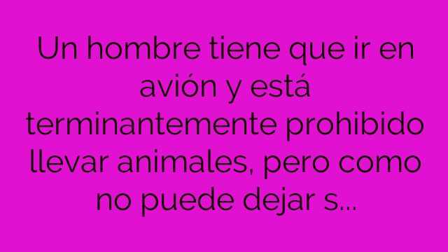 Se le ha roto un huevo