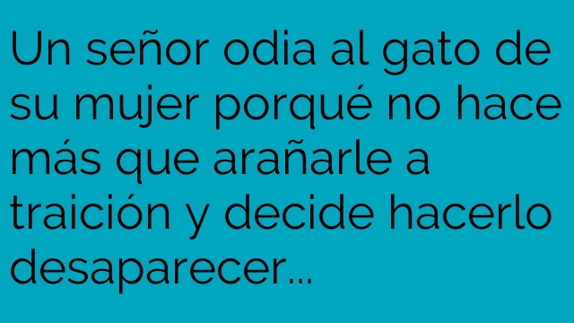 El gato que vuelve