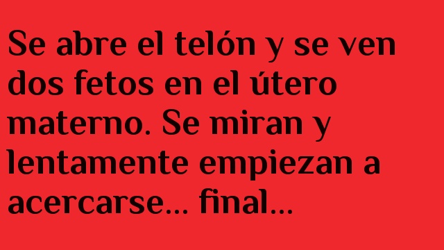 Los dos fetos