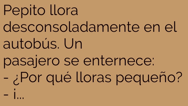 Pelotita perdida
