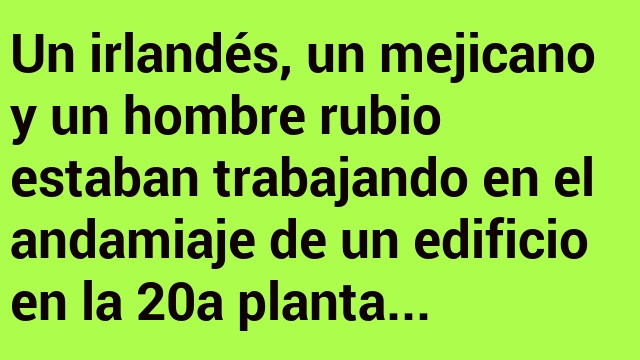 El rubio