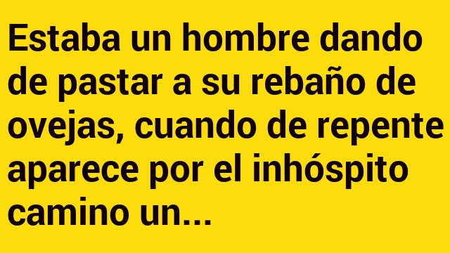 Cuál es su profesión?