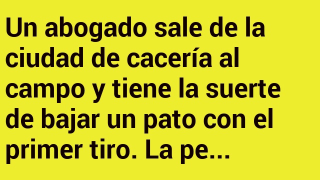 Un abogado sale de la ciudad de cacería al campo ..