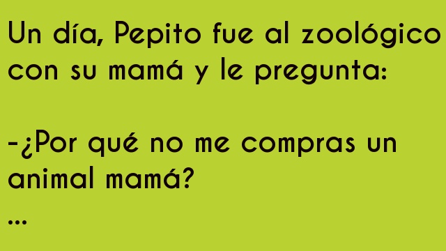 Pepito quiere una mascota