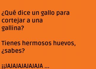 El cortejo