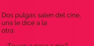 Entre pulgas