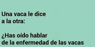 Las vacas