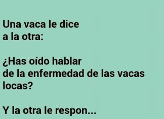 Las vacas