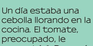 Amor con sabor a empanada