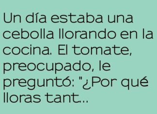 Amor con sabor a empanada