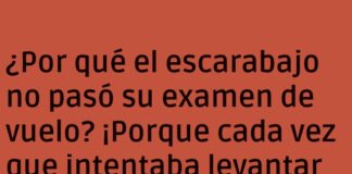 «Aterrizajes de Escarabajo: Dominio Total»