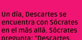 Café Paradoja en el Más Allá