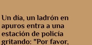 Camaleón en Apuros y Ladrón Desesperado