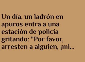 Camaleón en Apuros y Ladrón Desesperado