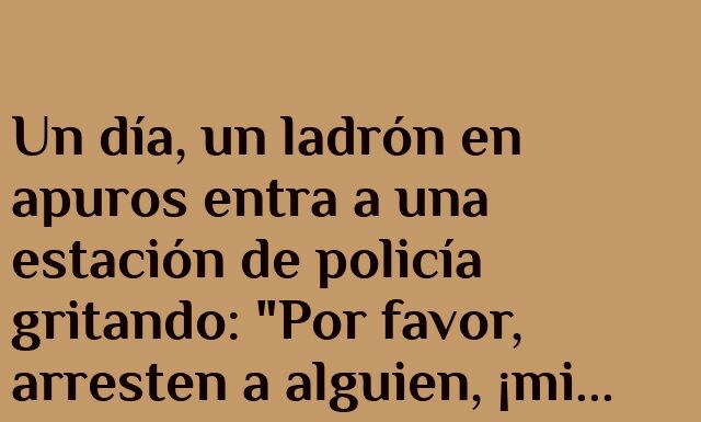 Camaleón en Apuros y Ladrón Desesperado
