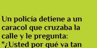 «Cuidado: Caracol en Carretera Señalizando»