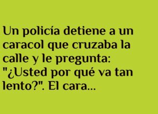«Cuidado: Caracol en Carretera Señalizando»