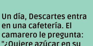 Descartes Desaparece y Platón Reflexiona