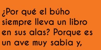El búho ortográfico: sabiduría nocturna