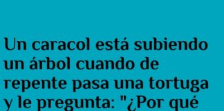 El caracol y el viento travieso.