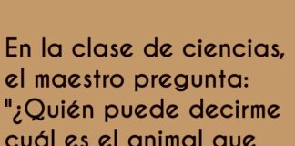 El castor arquitecto en apuros