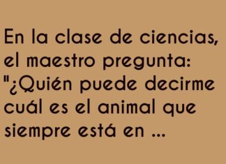 El castor arquitecto en apuros