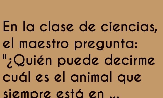 El castor arquitecto en apuros