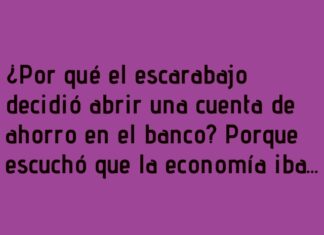 «El Escarabajo Ahorrista: Pensando en el Invierno»