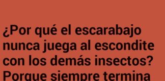 El escarabajo y la búsqueda del tesoro.