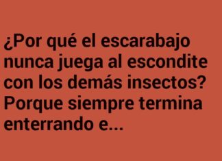 El escarabajo y la búsqueda del tesoro.