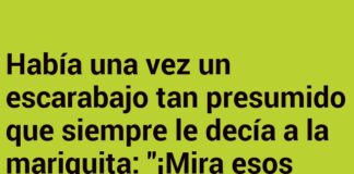 El estilo de volar de la mariquita presumida