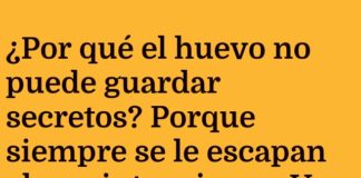 El Huevo y sus Claras Intenciones