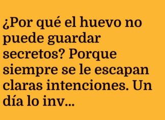 El Huevo y sus Claras Intenciones
