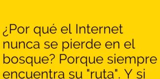 El Internet y su amigo Wi-Fi en el bosque.