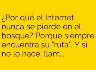 El Internet y su amigo Wi-Fi en el bosque.