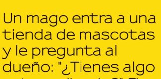 El Loro Mágico del Marketing