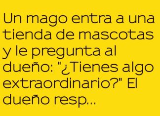 El Loro Mágico del Marketing