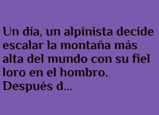 El loro y la montaña con sorpresa
