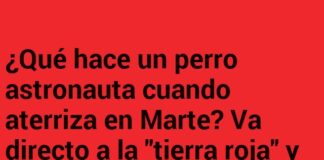 El Perro Espacial Marca Territorio en Marte
