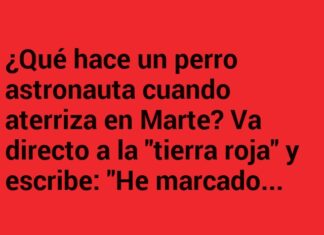 El Perro Espacial Marca Territorio en Marte
