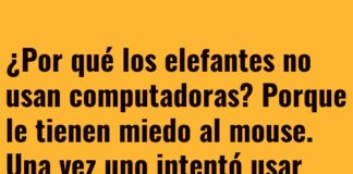 Elefantes vs. Ratones Digitales