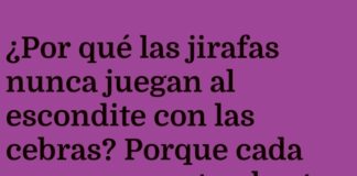 «¡Escondite de Altura y Rayas!»