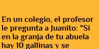 Gallinas rebeldes: la lógica de Juanito.