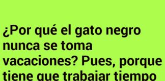 Gato negro en negocios superticiosos
