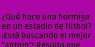 Hormiga Futbolera: En Busca del Bocado Perfecto