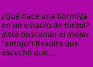 Hormiga Futbolera: En Busca del Bocado Perfecto