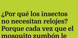 Insectos y la puntualidad intuitiva