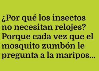 Insectos y la puntualidad intuitiva