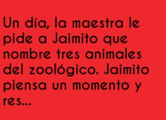 Jaimito y su popular bocadillo en el zoológico