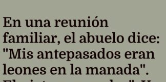 La bufanda del abuelo león
